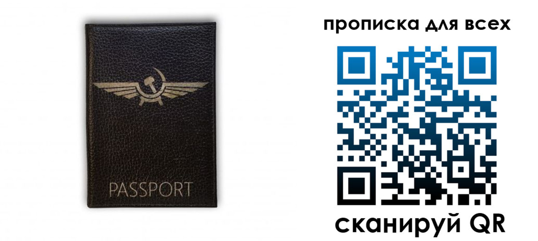прописка в квартире в Ленинградской области